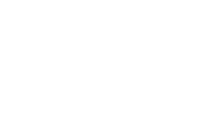 Downsview Logo White