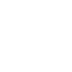 Sandler Training Logo in White
