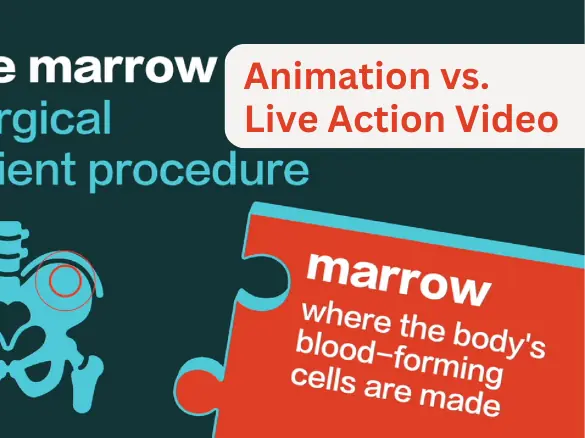 Animation vs Live Action Video